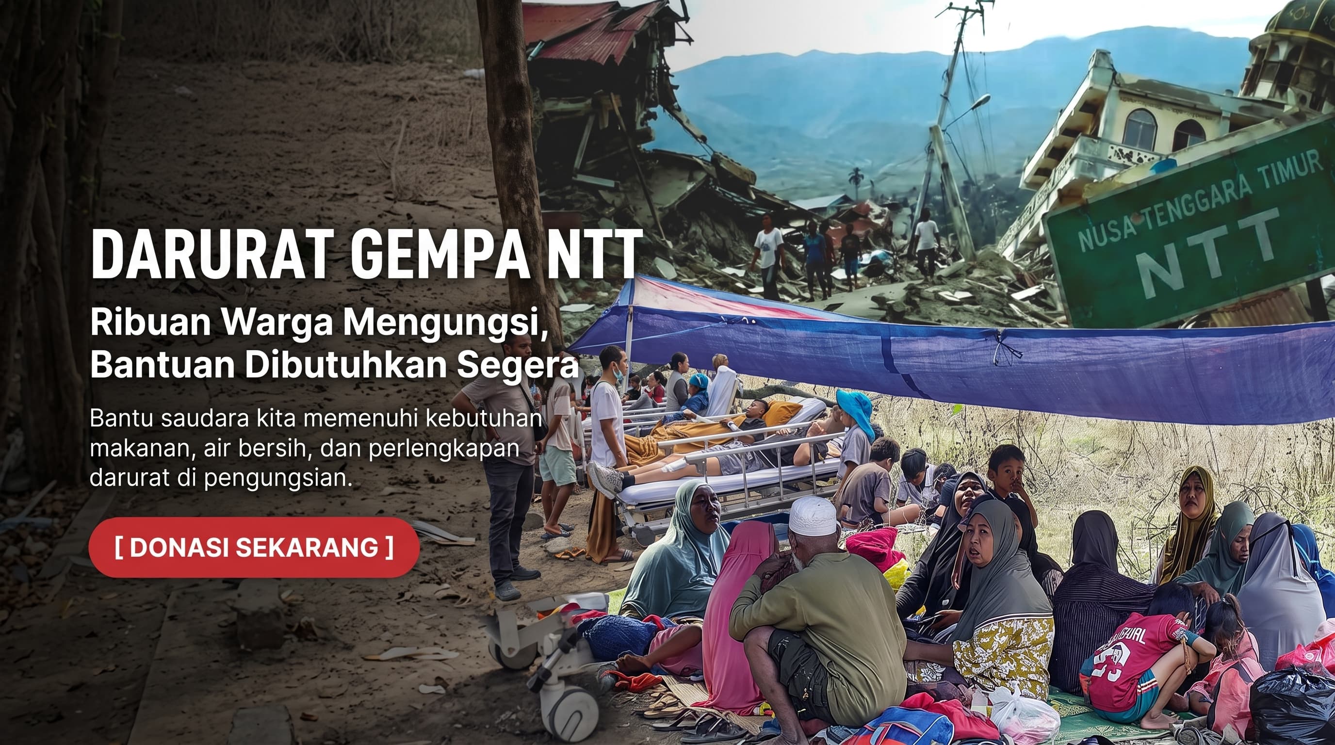 Darurat Gempa M7,7 NTT! Ribuan Warga Mengungsi